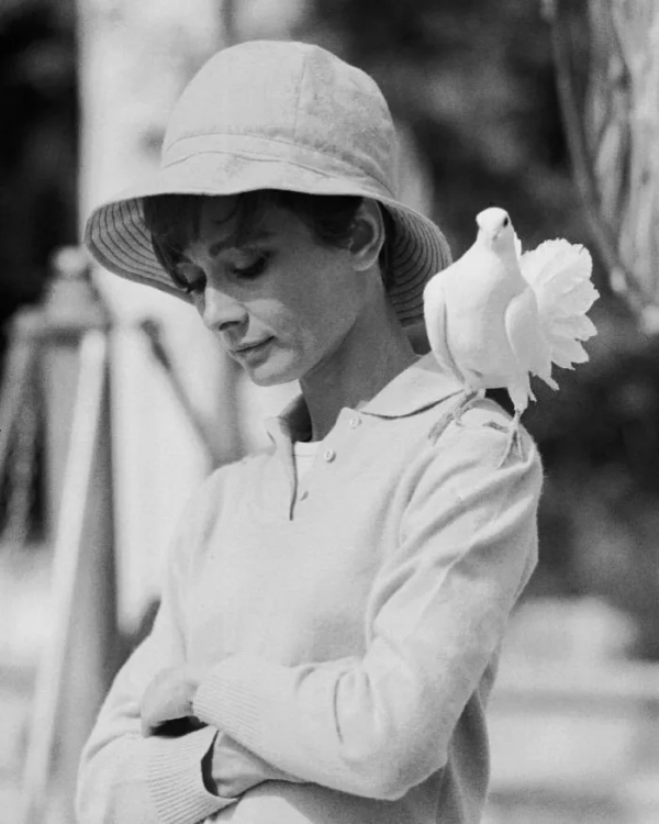 Audrey Hepburn, 1967 | Photo: Terry O’Neill