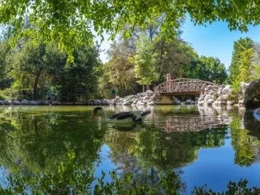 6 πάρκα στην Αττική για οικογενειακές αποδράσεις