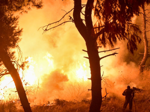 Φωτιά στη Θάσο: Ενισχύονται ακόμη περισσότερο οι πυροσβεστικές δυνάμεις για την κατάσβεσή της