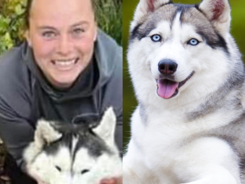 Η γυναίκα που σκότωσε ένα Husky νομίζοντας πως είναι λύκος και περηφανεύτηκε στα social, έχει εξοργίσει τον κόσμο