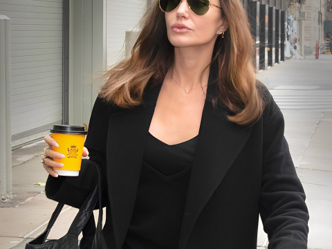 H Angelina Jolie σε δείπνο με τον δισεκατομμυριούχο David Mayer 