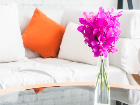 Home decor: 6 οικονομικές προτάσεις για να δώσεις καλοκαιρινά vibes στο σπίτι σου