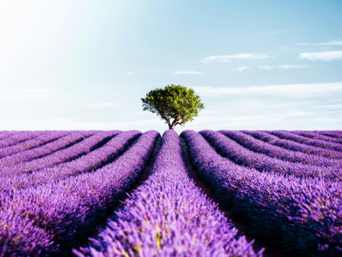 Οι 6 πιο οικονομικές χώρες της Ευρώπης για να ταξιδέψετε το 2026