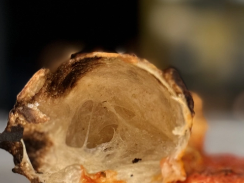 Tο μόνο Pizza bar στην Ελλάδα που προσφέρει αυθεντική Fritta