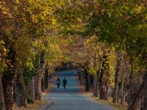 5 ελατοσκέπαστα χωριά κοντά στην Αθήνα για χριστουγεννιάτικες αποδράσεις