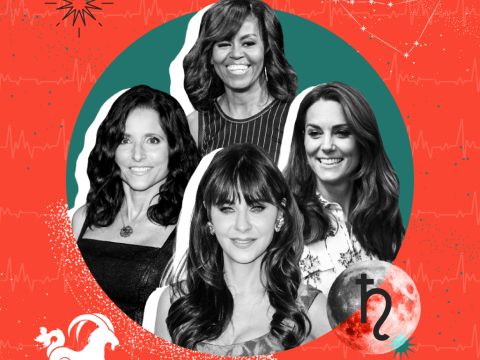 Αιγόκερως, εργασιακή ζωή