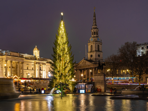 «Το δέντρο παίρνει Ozempic;»: Το χριστουγεννιάτικο δέντρο του Λονδίνου προκαλεί αντιδράσεις