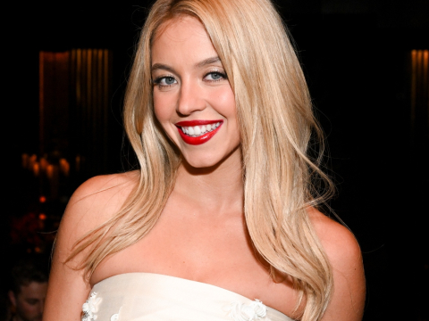 Η Σίντνεϊ Σουίνι σκαρφάλωσε στην πινακίδα Hollywood για να κρεμάσει σουτιέν. Δεν πήγε πολύ καλά αυτό