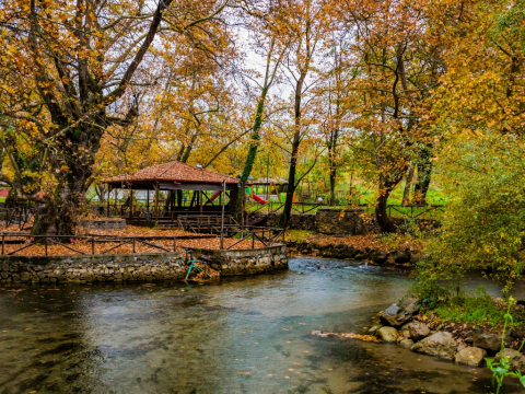 Ένα γευστικό ταξίδι στη Νάουσα