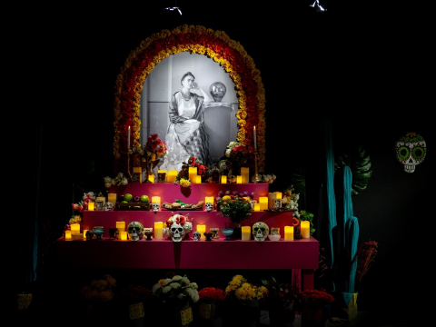 Ο αφρώδης οίνος Gancia γιόρτασε την γυναικεία δημιουργικότητα, με έμπνευση την Frida Kahlo