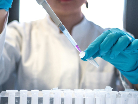 Ζωή έως και 250 έτη; Ιάπωνες επιστήμονες ανακάλυψαν «κουμπί διακοπής» για τη γήρανση των κυττάρων