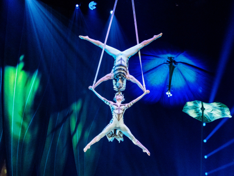 Το Cirque du Soleil αποκαλύπτει τα μυστικά του "OVO" – Όσα ειπώθηκαν στη συνέντευξη Τύπου