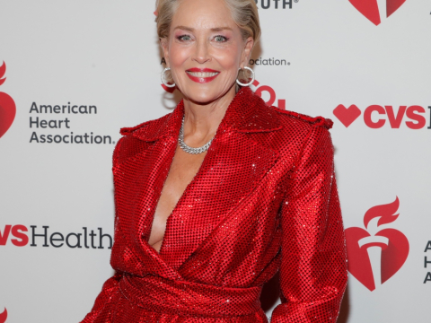 Η Σάρον Στόουν αποκάλυψε ποιος χολιγουντιανός ηθοποιός φιλάει καλύτερα. Ναι, το είπε