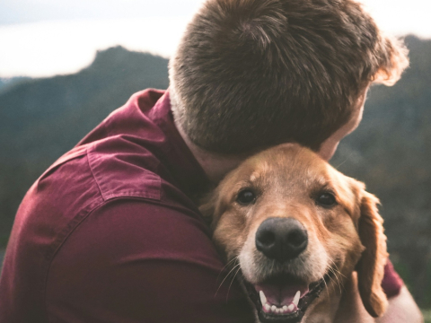 Κατοικίδια και διακοπές»: Do’s & Don’ts για να ταξιδέψεις σωστά με το pet σου