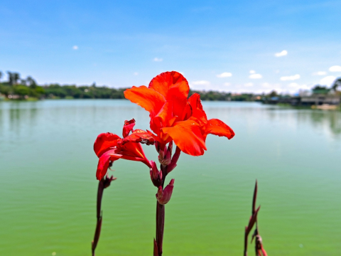 Η απίστευτη «χαμένη πόλη» που βρίσκεται στον πάτο μίας γιγάντιας λίμνης