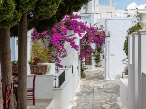 Στην Τήνο, ένα Σχολείο Δεύτερης Ευκαιρίας ανοίγει ξανά τον δρόμο της μαθησης στην ενήλικη ζωή