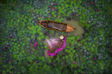 2017-best-drone-photos-of-the-year-dronestagram-19-595f8f41dcd78-880.jpg