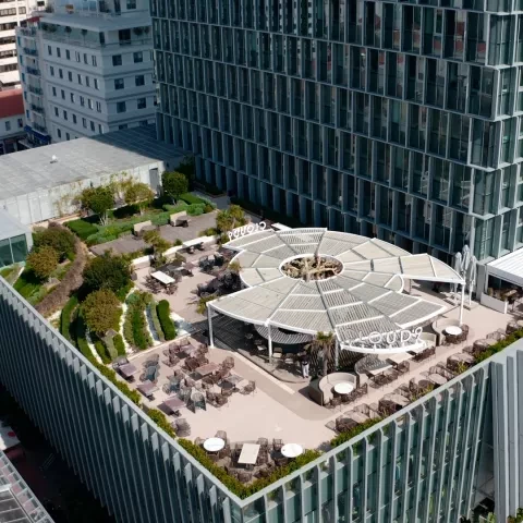 Ψάχνεις για ένα fancy καφέ-εστιατόριo με πιάτο τη θάλασσα και απόλυτα value for money γαστρονομικές επιλογές: Σε έχουμε