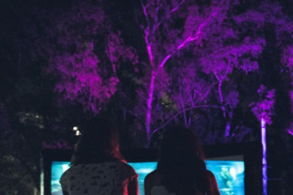 Το Cinema Alive έφερε τον immersive κινηματογράφο στην Ελλάδα και άλλαξε την ένοια του drive-in