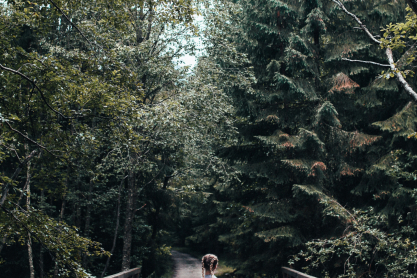 Τα 3 ζώδια που δεν πρέπει να εμπιστεύεστε