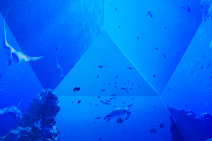 Μαρία Σάκκαρη: «Ως Ελληνίδα, θα διάλεγα χρυσό Ολυμπιακό μετάλλιο αντί για Grand Slam»