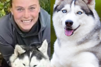 Η γυναίκα που σκότωσε ένα Husky νομίζοντας πως είναι λύκος και περηφανεύτηκε στα social, έχει εξοργίσει τον κόσμο