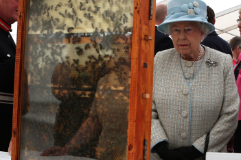 Βασίλισσα Ελισάβετ: Ο μελισσοκόμος του παλατιού ενημέρωσε τις μέλισσες ότι πέθανε