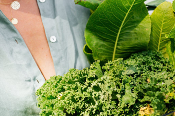 Γιατί το kale δεν είναι τόσο «σούπερ» όσο πιστεύουμε 
