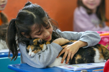 Γάτες ζουν σε σχολείο της Τουρκίας και γίνονται ο λόγος που πηγαίνουν οι μαθητές (και τα Σαββατοκύριακα)