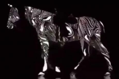 Το άλογο πάει μπροστά ή πίσω; Απάντησε και δες ποιο ημισφαίριο του εγκεφάλου σου επικρατεί