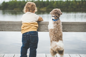 Έρευνα: Τα μικρά παιδιά βοηθούν τα σκυλιά να βρίσκουν παιχνίδια και σνακ - Ο ρόλος της ενσυναίσθησης