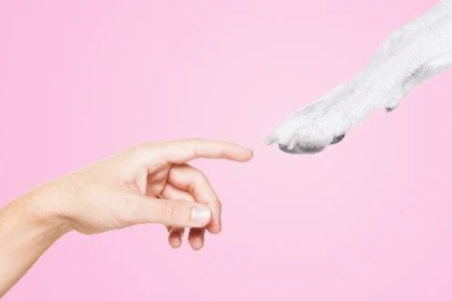 ΕΜΣΤ: Επισκεπτόμαστε το μουσείο με το κατοικίδιό μας για ένα διαφορετικό μήνυμα αγάπης