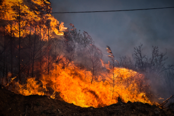 Φωτιά στη Μαγνησία: Μαίνεται η πυρκαγιά με τους 2 νεκρούς - Νέες εκκενώσεις οικισμών