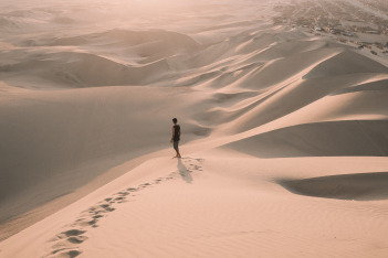 Η έρημος και τα ζώα: Το τεστ που αποκαλύπτει τι θυσιάζεις πρώτο στη ζωή σου