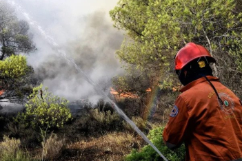 Φωτιά τώρα: Πυρκαγιά σε δάσος στο Δαμάσι Τυρνάβου - Μέτωπο και στην Εύβοια