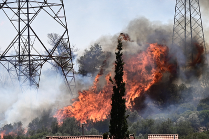 Φωτιά σε Κουβαρά/Λαγονήσι: Πώς να βοηθήσετε τα ζώα
