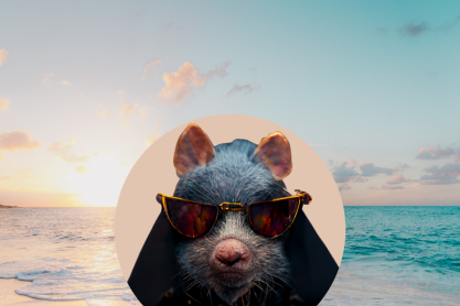 Rat Girl Summer: Αυτό το καλοκαίρι, γινόμαστε όλες αρουραίοι