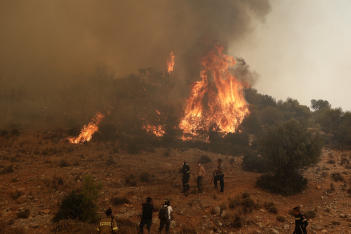 Φωτιά στον Έβρο: Εντοπίστηκαν 18 απανθρακωμένοι άνθρωποι στο Δάσος της Δαδιάς