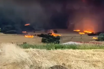 Φωτιά στην Αλεξανδρούπολη: Μάχη με τις αναζωπυρώσεις - Ισχυροί άνεμοι στην περιοχή