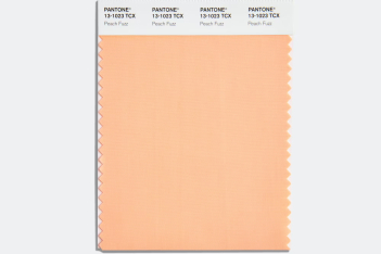 PANTONE 13-1023 Peach Fuzz: Το χρώμα της χρονιάς αποκαλύφθηκε