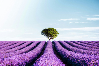 Οι 6 πιο οικονομικές χώρες της Ευρώπης για να ταξιδέψετε το 2026