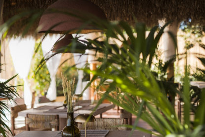 The Lemon Tree and Co. Athens Riviera: Η Upscale Seaside Dining εμπειρία στην παραλία της Βούλας