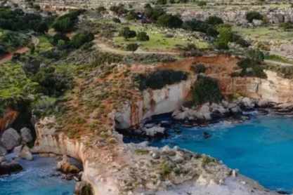 Το απολιθωμένο δάσος ηλικίας εκατομμυρίων ετών στη νότια Ελλάδα
