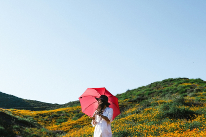 Ζώδια: Αυτό είναι το τυχερό ζώο σου - Τα κοινά χαρακτηριστικά τους