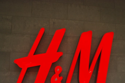 Η H&M θα σταματήσει μέχρι το 2025 τη χρήση πούπουλων και φτερών από ζώα