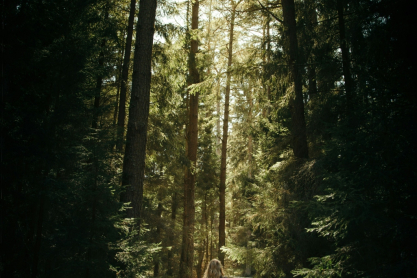 “Forest Bathing”: Η πιο απλή, αποτελεσματική και δωρεάν μέθοδος για ψυχική και σωματική υγεία
