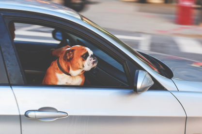 10+1 road trips στην Ευρώπη που θα σας μείνουν αξέχαστα