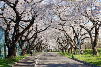 10 πράγματα που πρέπει να ξέρετε πριν ταξιδέψετε στην Ιαπωνία