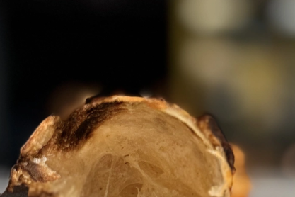 Tο μόνο Pizza bar στην Ελλάδα που προσφέρει αυθεντική Fritta