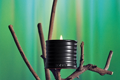 Palo Santo: Ένα άρωμα ως φόρος τιμής στη γαλήνη της φύσης από τη Loewe Perfumes